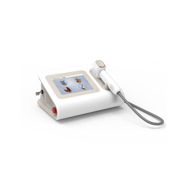 Veterinary Laser Therapy