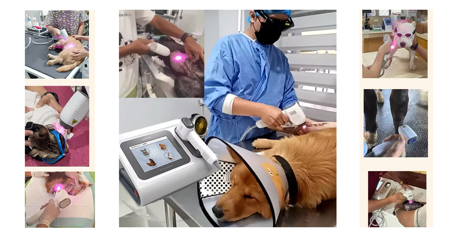 Veterinary-111.png