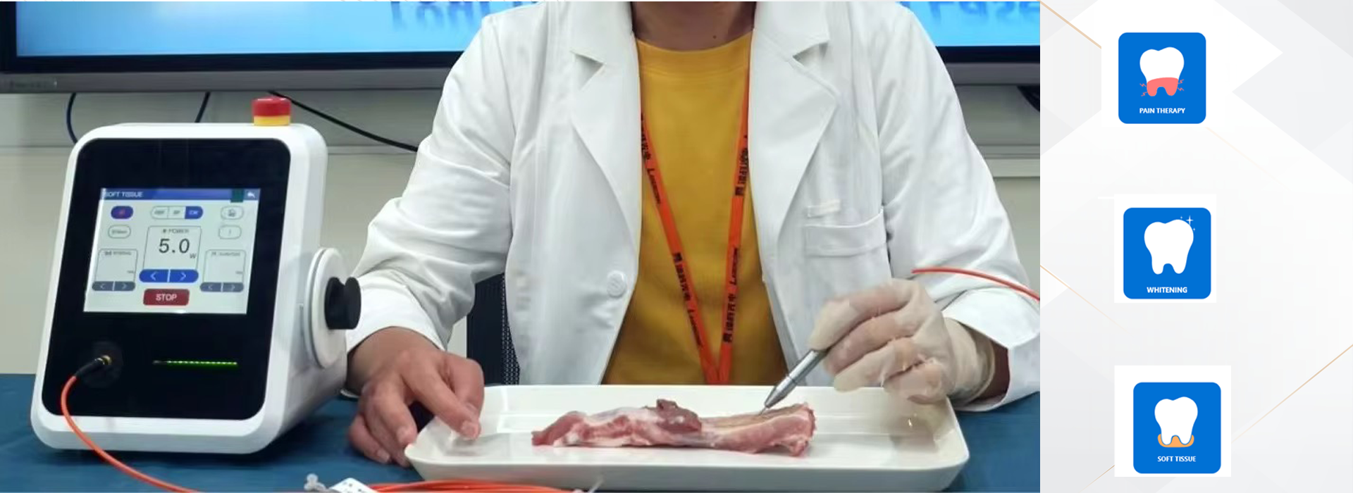 Dental 003.png